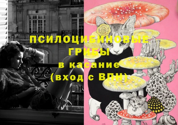 мет Алексин