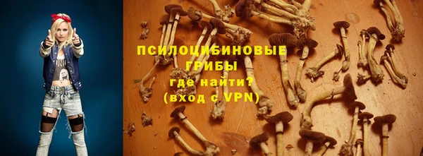 мет Алексин