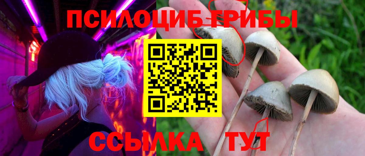 Псилоцибиновые грибы GOLDEN TEACHER  Псилоцибиновые грибы Psilocybe  Красноуфимск  Вход с VPN 